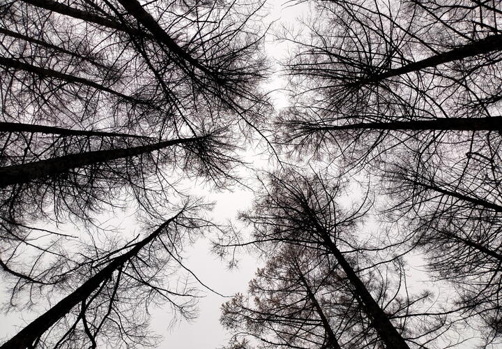 В соседнем с Кубанью регионе оказался очень грязный воздух, опасный для человеческого здоровья