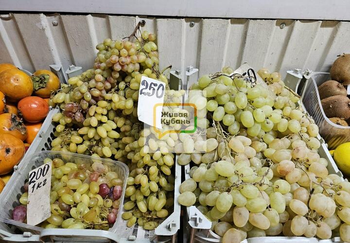 Все гнилое и дорогое