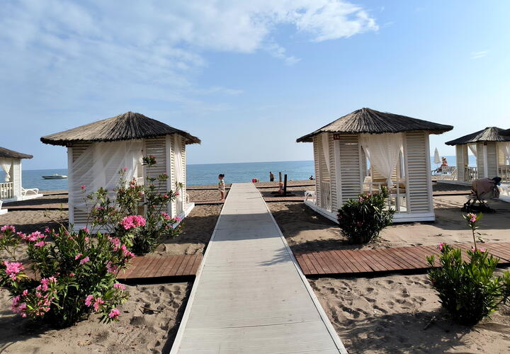 Фото: globallookpress\ Maksim Konstantinov