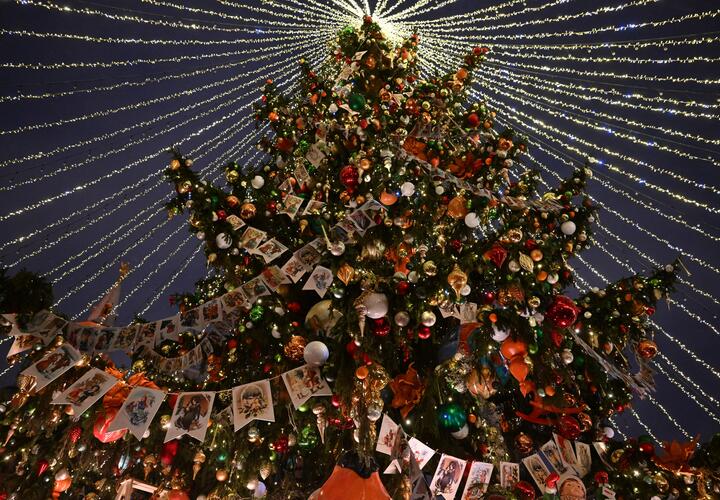 Баранки и петушки: как украсить ёлку к Новому году - главный тренд 2026