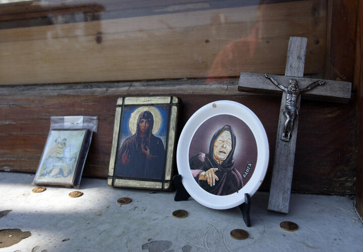 Провидица многое предугадала