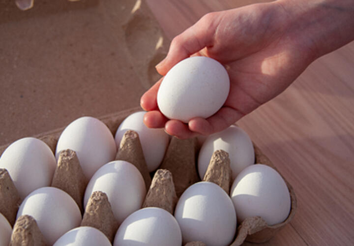 Эксперт рассказал, какие товары и услуги подорожают первыми в новом году