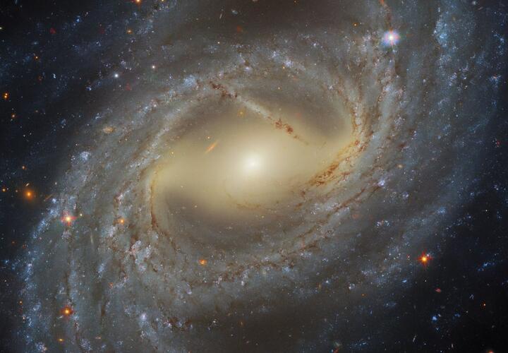 Гороскоп на неделю с 8 по 14 декабря от «Живой Кубани»