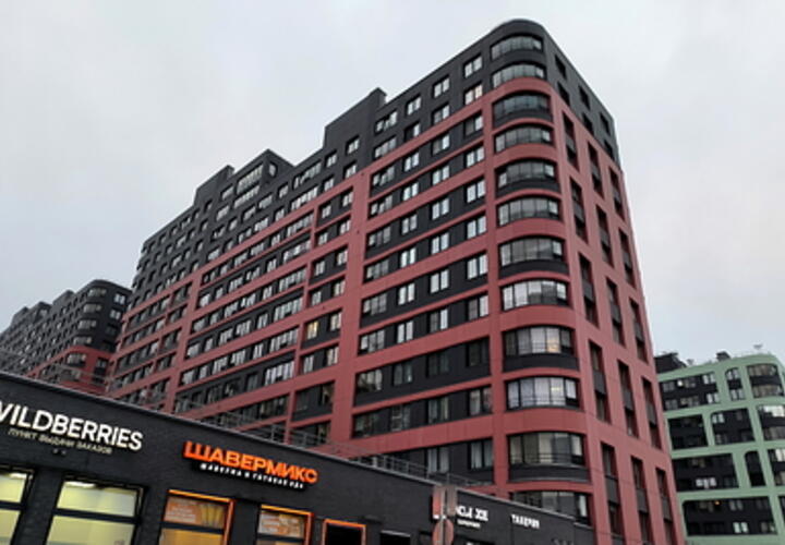 И конуры не купишь: материнский капитал за 10 лет обесценился вдвое