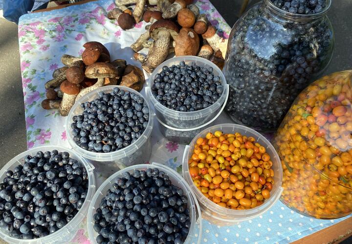 Кому можно и нельзя есть облепиху