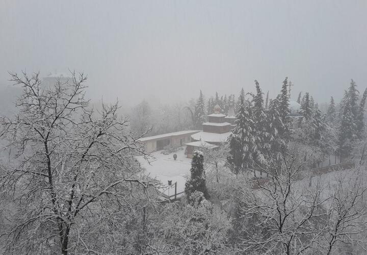 Красная икра стремительно дешевеет, на Кубани поезда стоят из-за снегопадов: ТОП-5 за 31 декабря
