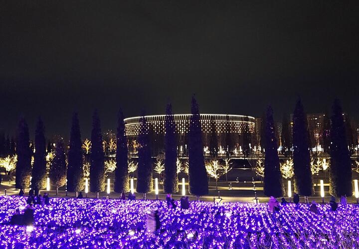 Кубанцы этого точно не хотели. Обновился прогноз погоды на новогодние каникулы