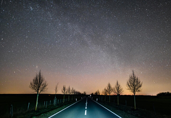 Львам следует держать рот на замке, а Девам пора заняться здоровьем