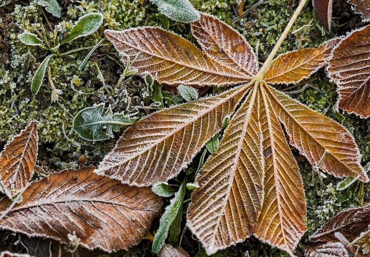 Мы собрали для вас новости, которые обязательно надо обсудить с коллегами, друзьями или родственниками