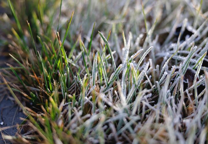 Мы собрали для вас новости, которые обязательно надо обсудить с коллегами, друзьями или родственниками