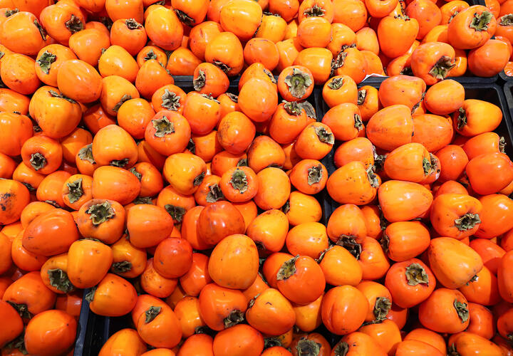 Расскажем, что происходит с организмом