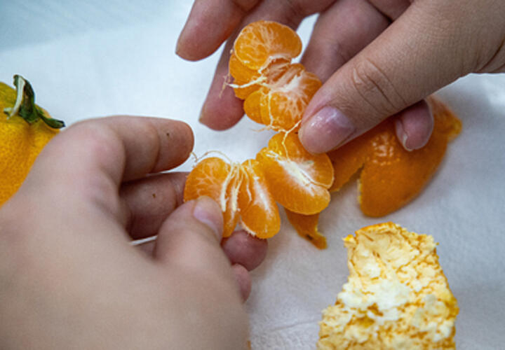 На Кубань завезли импортные мандарины с личинками