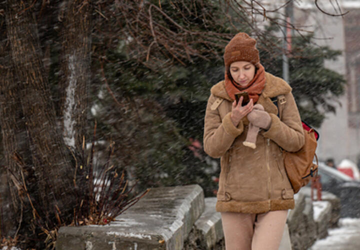 «Не только мессенджер, но и соцсеть»: депутат Госдумы рассказал, заблокируют ли в РФ Telegram