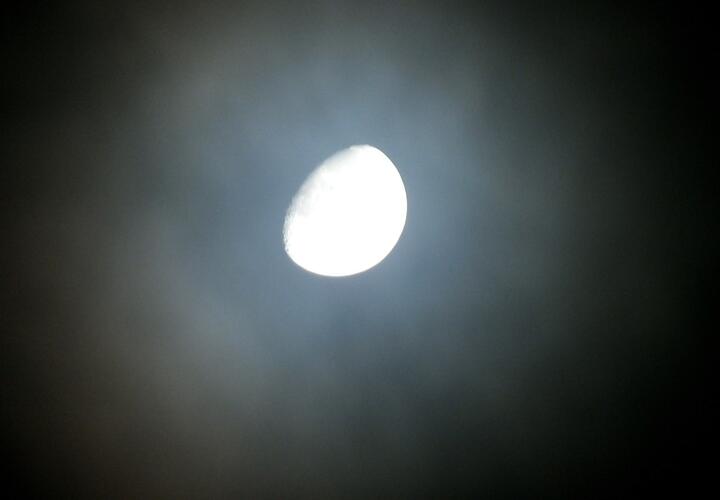 Не все вечеринки принесут Водолеям удовольствие, Весов ждут крупные денежные поступления 