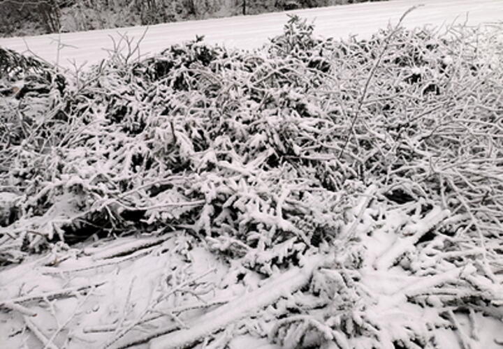 Неужели это случится на Новый год? Сильный снегопад и жуткий гололед обещают синоптики в Краснодаре в ближайшие дни