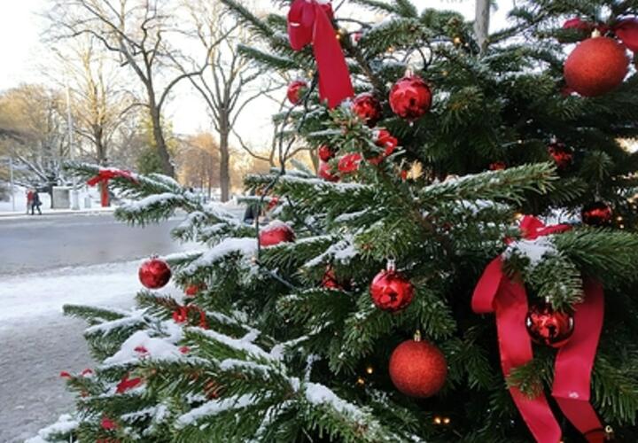 Овны увидят вещие сны, Козероги ощутят комфорт и умиротворение