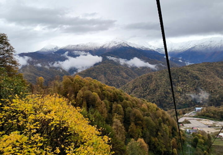 Платный вход для детей и скандальное строительство железной дороги: в Сочинском нацпарке нашли финансовые нарушения на 3 мдрд рублей