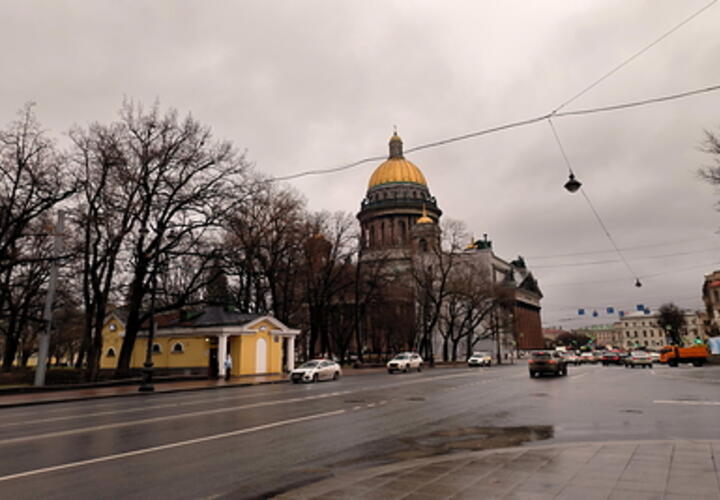 Последователи «секты Зеленского» работали преподавателями в российском педагогическом вузе