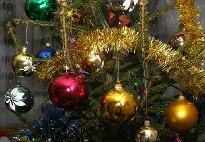 Россияне бьют тревогу. Обычные новогодние елки несут в себе страшную угрозу