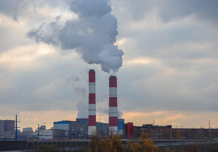 Как прокомментировали ситуацию в компании?