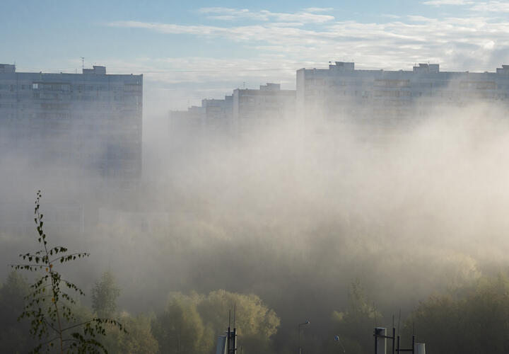 Самолёт с загоревшимся двигателем приземлился в Москве, назначили встречу американской и украинской сторон в Майами: что произошло, пока вы спали