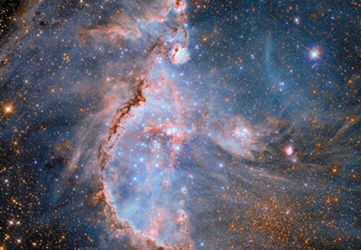 Скорпионам не стоит вступать в споры, а Стрельцы продвинутся по карьере