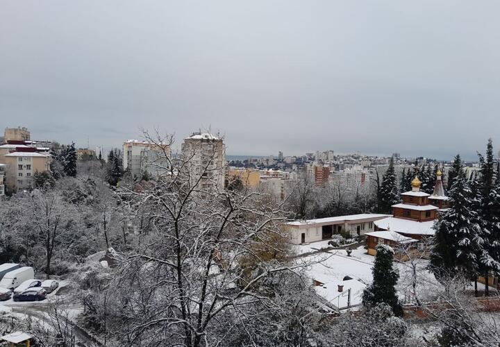 Случится вообще все самое плохое: прогнозы синоптиков обещают Сочи и Сириусу совсем не южный Новый год