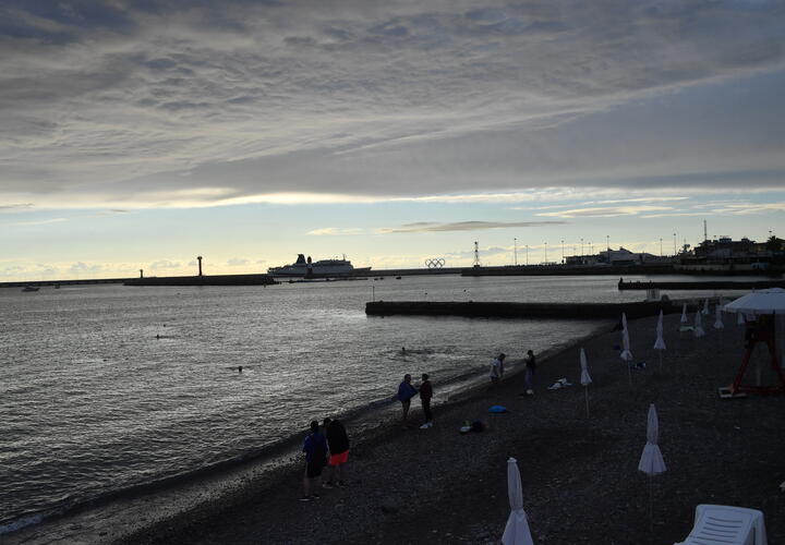 Стрельба в Новороссийске: с чем связано?