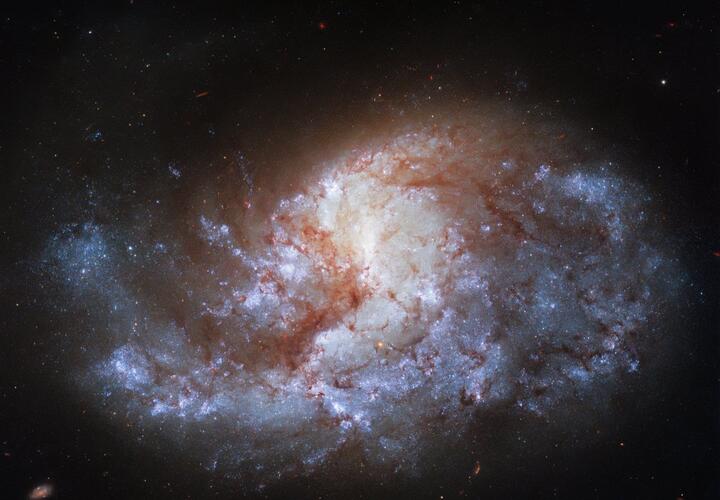 Стрельцы одолеют противника, а Овнам пора собирать чемоданы