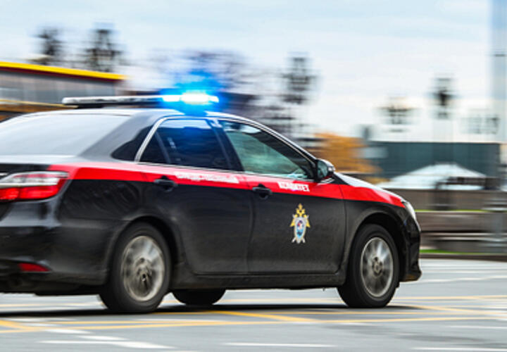 Тело обнаружили в подвале: как 14-летняя школьница и ее парень убили мать девочки 