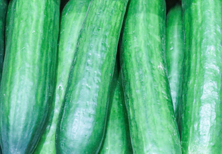 Тонны зараженных импортных огурцов обнаружены на складе в Краснодаре