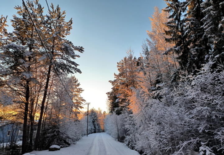 Ученые рассказали о связи русской природы с неврозами
