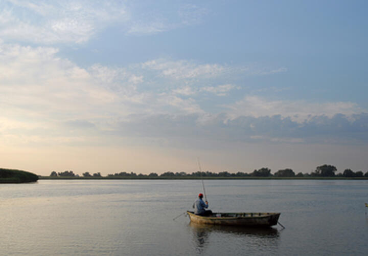 Удар по рыбным ресурсам на Юге России: осолонение, браконьеры. Что еще?