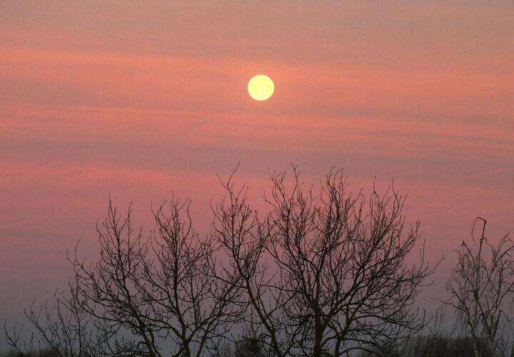 Украинские беспилотники сбили над Краснодарским краем и Чёрным морем 