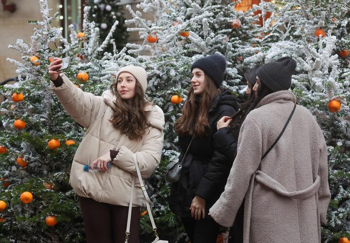 В парке Галицкого в Краснодаре высадили очень интересные деревья