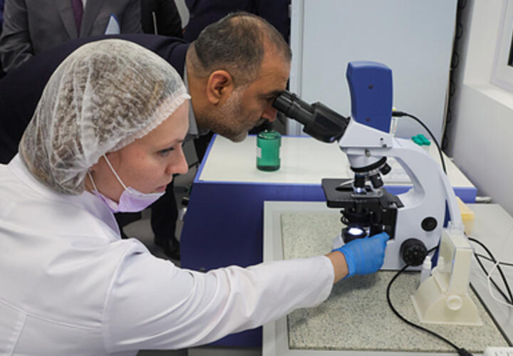 В России ученые обнаружили вещество, убивающее раковые клетки