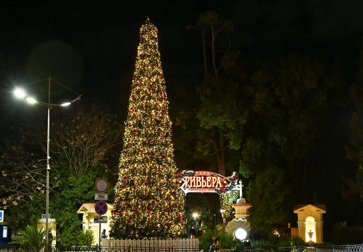 Власти Сочи стремятся сэкономить на новогодних украшениях