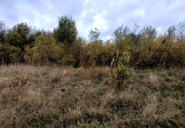 Военному из Анапы город не хотел давать положенную по закону землю