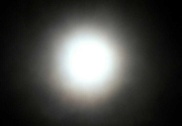 Мессинг мог читать мысли и предсказывать события 