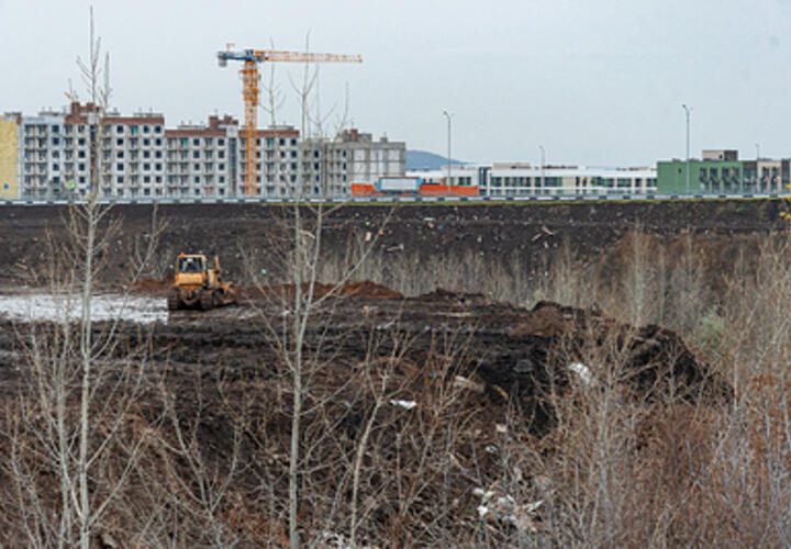 «Все усыпано трупами»: в южном регионе страны волонтеры обнаружили  горы останков погибших животных