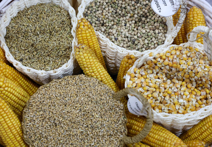 Полмиллиона за фиктивные документы заплатит кубанская компания