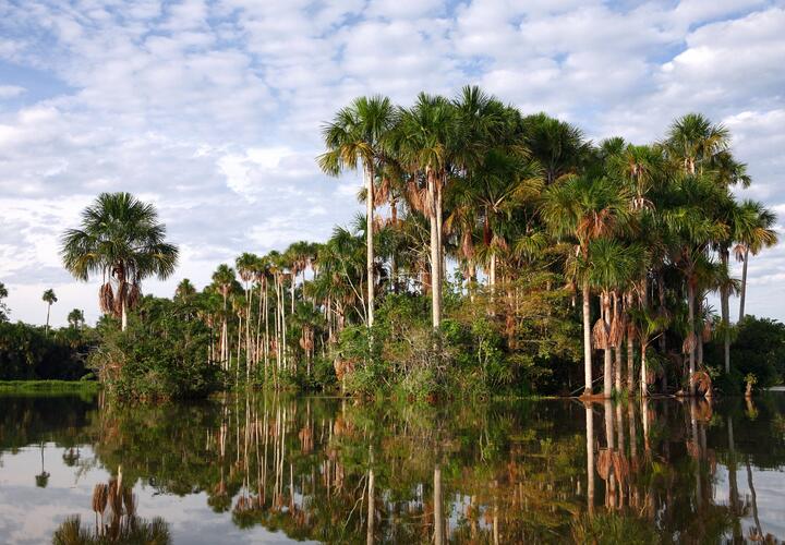 За освобождение девушки требуют 10 тысяч долларов