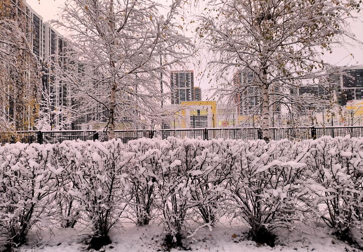 Расскажем, какие сюрпризы принесет погода