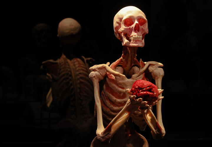 Убийцу так и не нашли