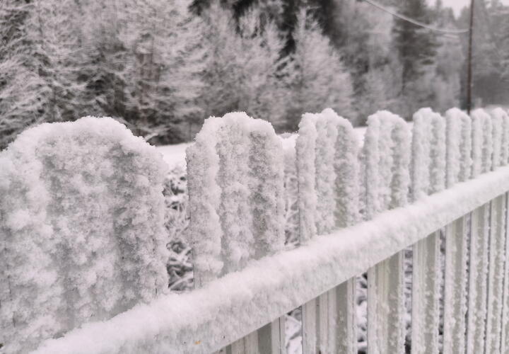 Блогерша обвинила владельцев магазина в Белореченске, которые нажились на недельном отключении электричества 