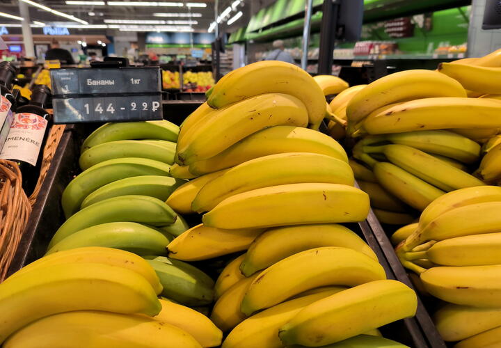 Первый урожай бананов созреет весной