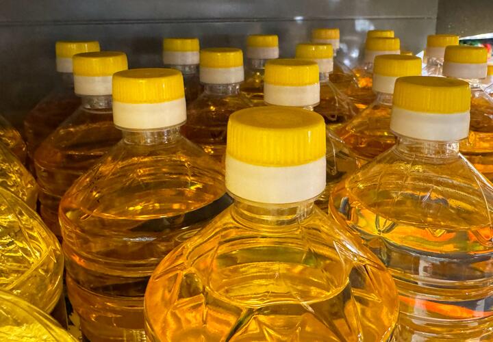 Экспорт кубанского масла
