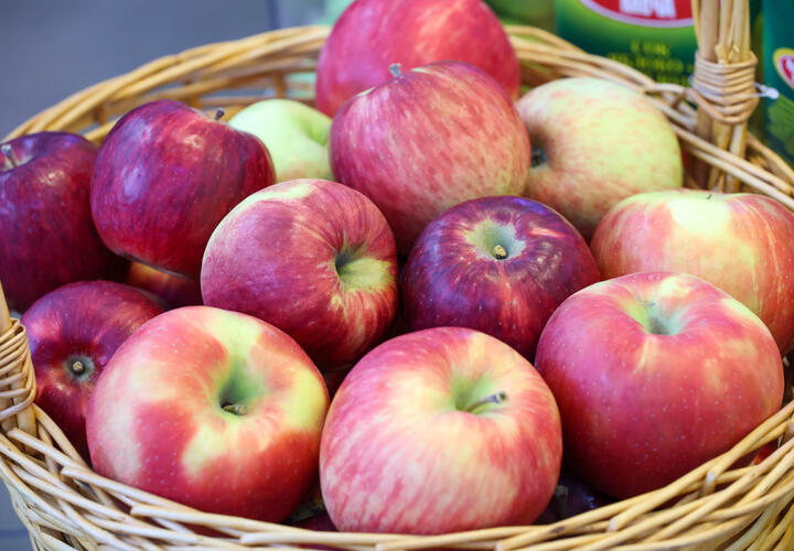 Фото: Global Look Press\ Belkin Alexey