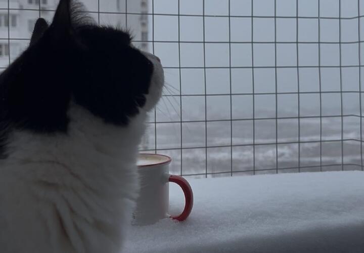 Кошмар продолжится: штормовое предупреждение опубликовали в связи со снегопадом в Краснодаре