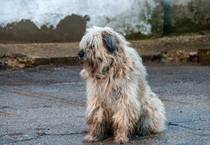 Работы пройдут сразу в нескольких районах кубанской столицы 